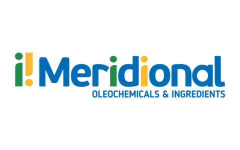 Logomarca_Meridional